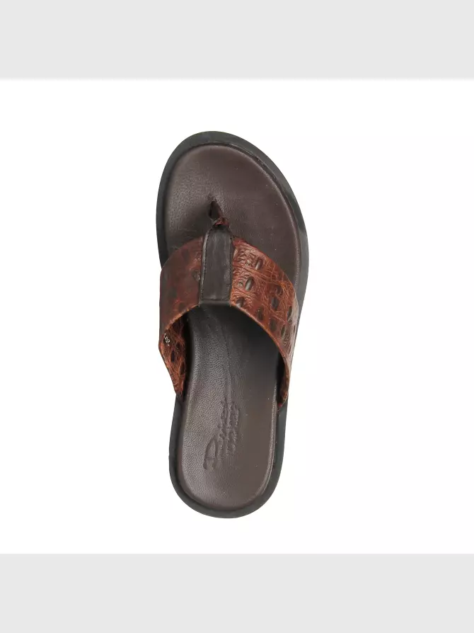 Сабо : коричневий, Літо - 02