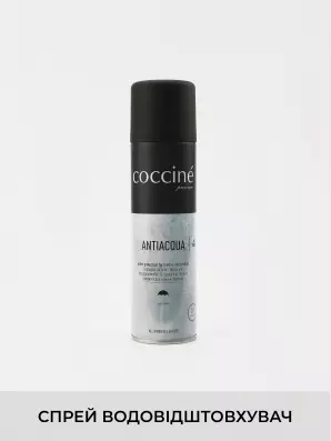 Shoe-care COCCINE:, Year - 01