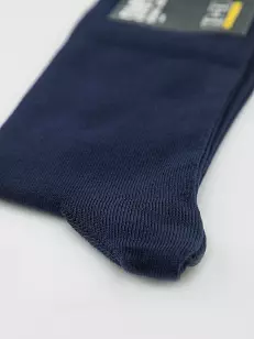 Шкарпетки чоловічі SIMPLE STYLE:, Всесезон - 02